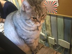 -小时光咖啡馆(开森度假森林店)