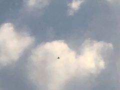 -海富荣·锅贴·陕菜家常菜(阳光城店)