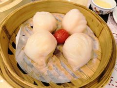 金牌虾饺皇-点都德(北京路贰店)