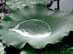 -荔湾湖公园