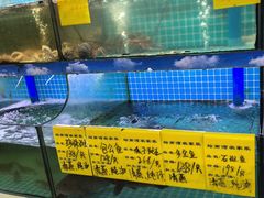 -坛南湾阿强农家乐.海鲜大排档老字号(福州地标美食店)
