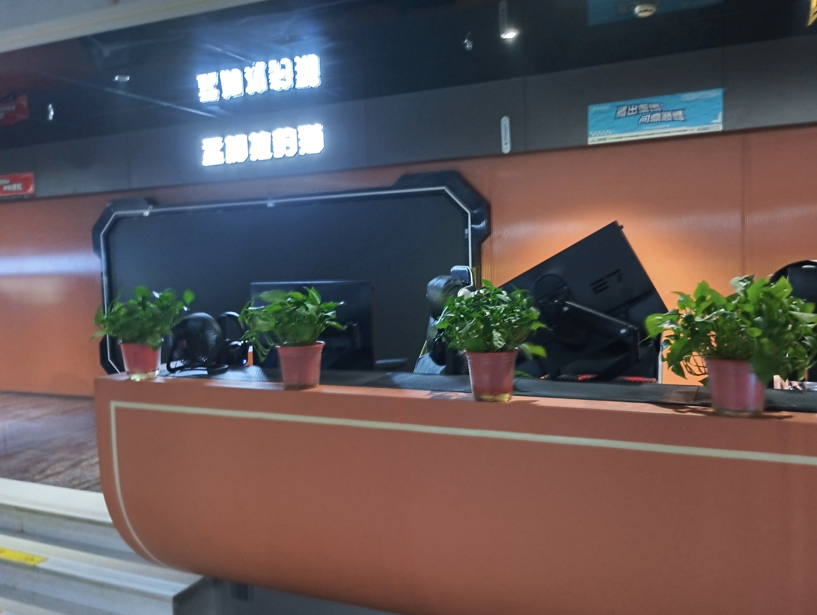 绿树电竞:电竞激情的潮流空间 绿树电