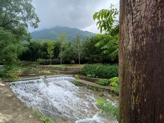 -东天目山风景区