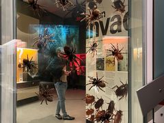 -墨尔本博物馆(Melbourne Museum)