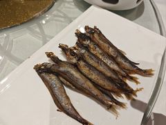 -金河半岛园林酒家(金融城店)