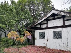 -东山风景区(洞庭东山)