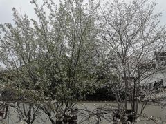 -堤角公园