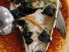 榄角蒸边鱼-黄埔华苑酒家(黄埔店)