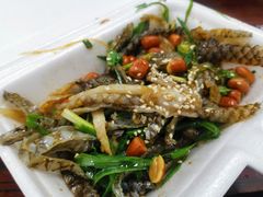 -陈添記·祖傳爽鱼皮·西关老字号(广州首店)