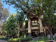 -西双版纳安纳塔拉度假酒店