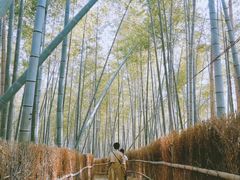 -宁波浙东大竹海景区