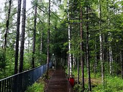 -峡谷浮石林景区