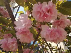 -WEPARK 芳草寓