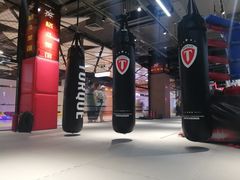 -FC格斗拳馆(东街店)