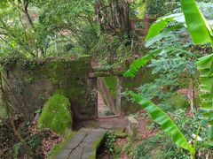 -武夷山风景名胜区-虎啸岩