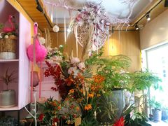 -蝶舍·MAISON PAPILLON