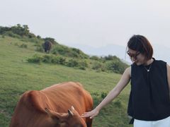 -大姆山草场
