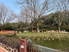 -上海野生动物园