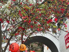 -桃源山庄·水蜜桃采摘·柴火鸡·烧烤团建(龙泉山店)