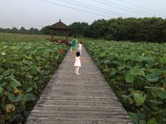 -梁鸿国家湿地公园