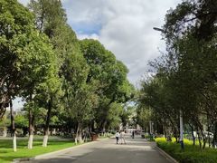 -云南师范大学(一二一西南联大校区)