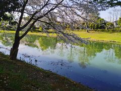 -石湖景区