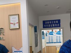 -瑞派雷欧宠物医院·24h夜诊·心脏骨科牙科·全科重症转诊中心(无影山店)