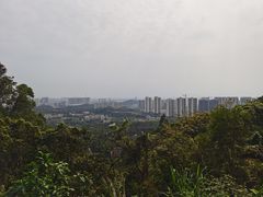 -金山植物公园