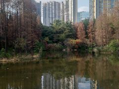 -广州珠江公园