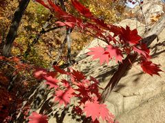 -丹东市五龙山风景区
