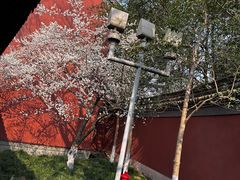 -钱王祠