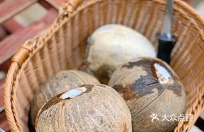Coconut Shell Chicken Stew