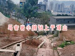 -重庆平顶山公园