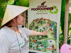 -大象粑粑造纸公园