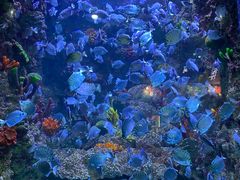 -海合安青岛极地海洋公园