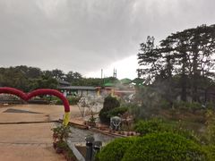 -松山湖梦幻百花洲
