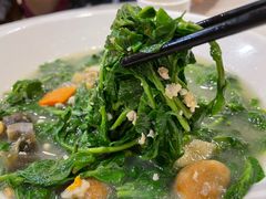 上汤枸杞芽-清新鸡沙田乳鸽店(金融店)