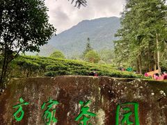 -姑婆山旅游区
