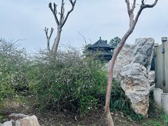 -东湖落雁景区