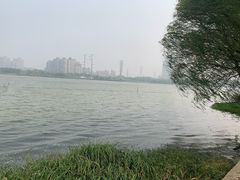 -金银湖国家城市湿地公园