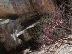 -陆地游轮吉林神农温泉