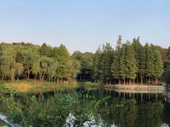 -尚贤河湿地