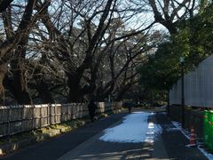 -名古屋城