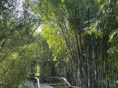 -云溪植物园