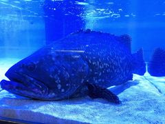 -十六蒲(桂林路店)