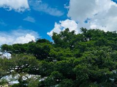 -福建土楼(南靖)景区