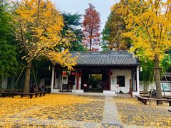 -汇龙潭
