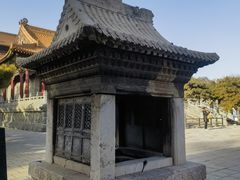 -北陵公园