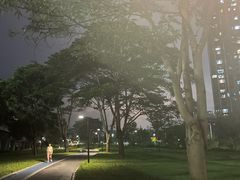 -宝安西湾红树林湿地公园