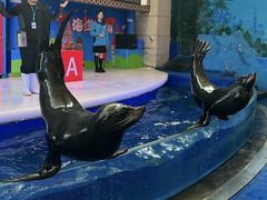 -成都浩海立方海洋公园